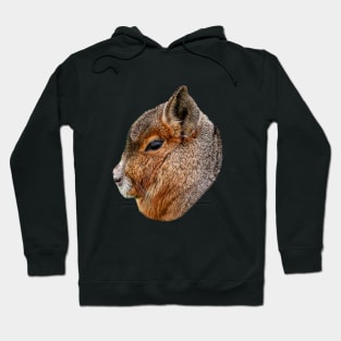 Mara portrait Hoodie